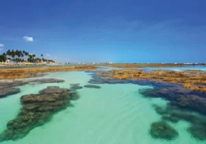 mar da praia do Porto de Galinhas